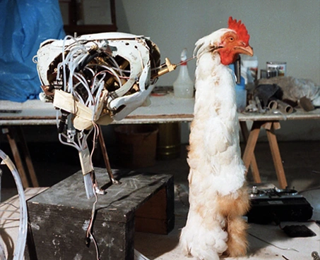 Jacques Gastineau - animatronic chicken